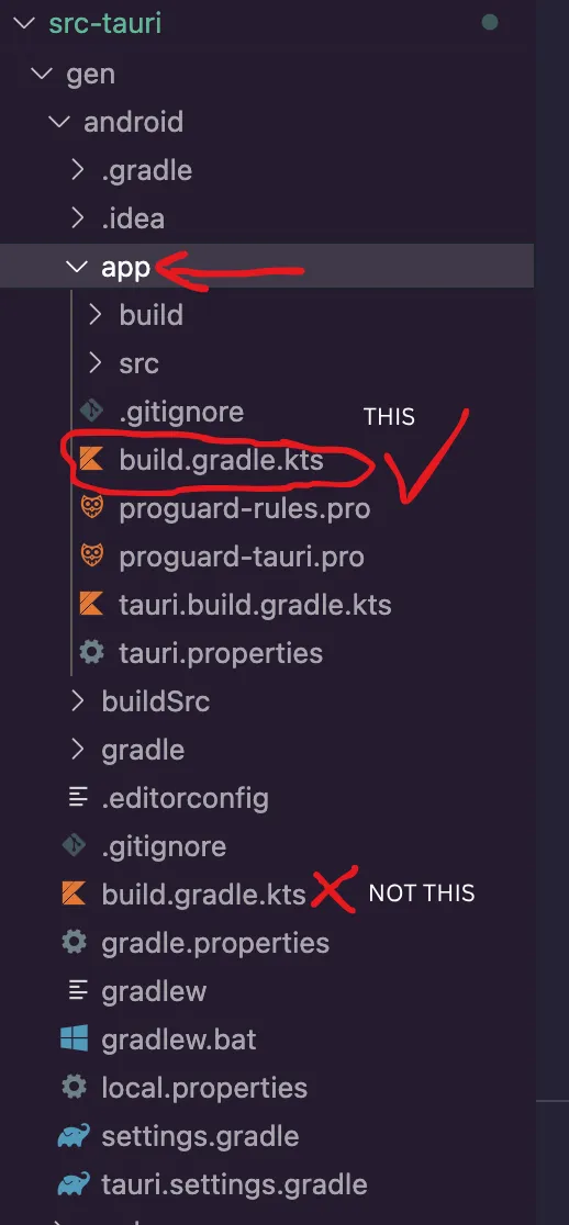 build.gradle.kts location in file tree